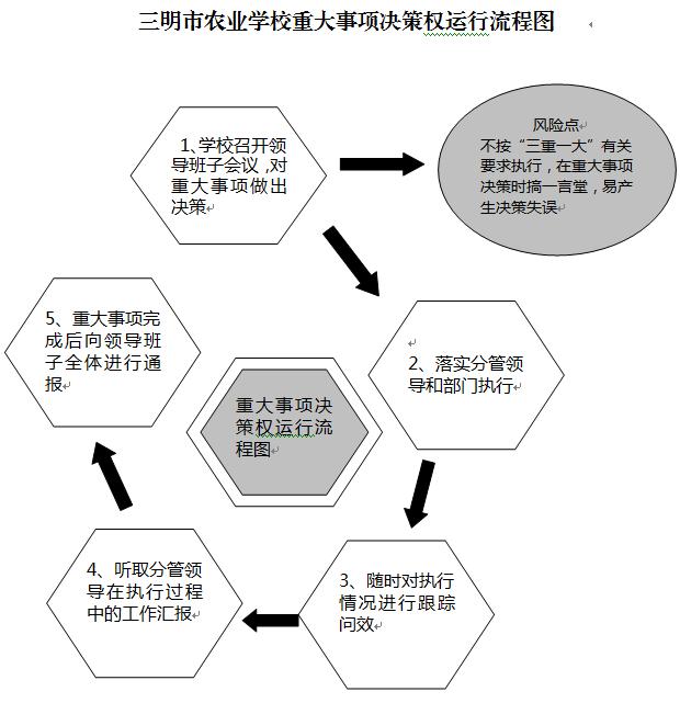 体育竞猜网（中国）官方网站重大事项决策权运行流程图.JPG